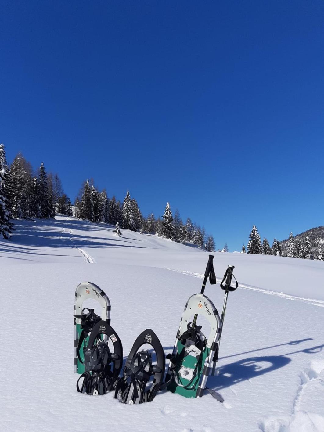 Appartamenti Al Ciarie Cima Gogna エクステリア 写真